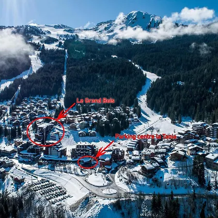 Appartement 2 Pieces Pour 4 Pers. Avec Balcon, Skis Aux Pieds - La Tania, Au Coeur Des 3 Vallees - Fr-1-182a-37 Courchevel