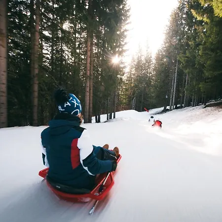 Confortable 2 Pieces, Skis Aux Pieds, Animaux Admis - Fr-1-182a-37 شقة