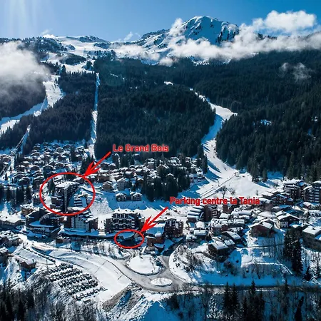 Confortable 2 Pieces, Skis Aux Pieds, Animaux Admis - Fr-1-182a-37 * Courchevel