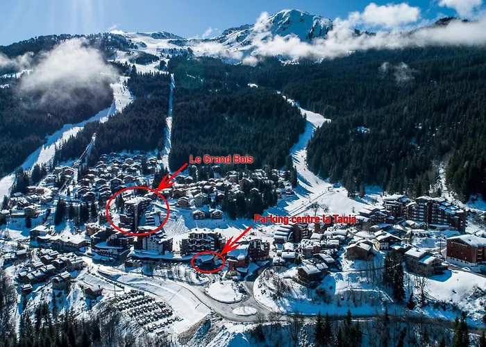 公寓 Confortable 2 Pieces, Skis Aux Pieds, Animaux Admis - Fr-1-182a-37 谷雪维尔