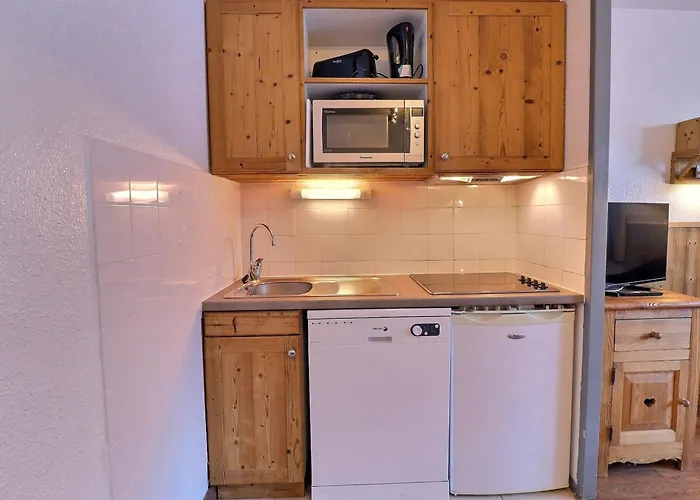 公寓 Confortable 2 Pieces, Skis Aux Pieds, Animaux Admis - Fr-1-182a-37 *