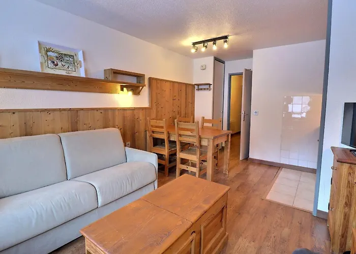 Confortable 2 Pieces, Skis Aux Pieds, Animaux Admis - Fr-1-182a-37 公寓 *