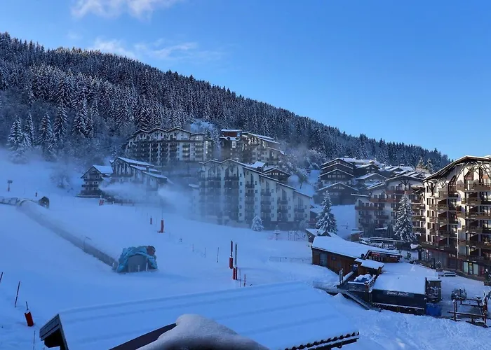 Confortable 2 Pieces, Skis Aux Pieds, Animaux Admis - Fr-1-182a-37 公寓