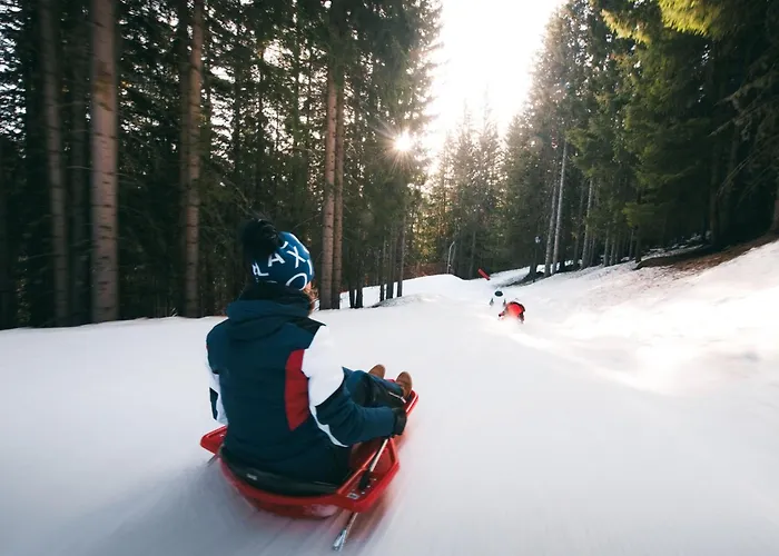 公寓 Confortable 2 Pieces, Skis Aux Pieds, Animaux Admis - Fr-1-182a-37 谷雪维尔